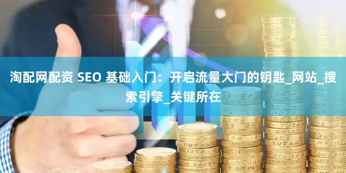 淘配网配资 SEO 基础入门：开启流量大门的钥匙_网站_搜索引擎_关键所在