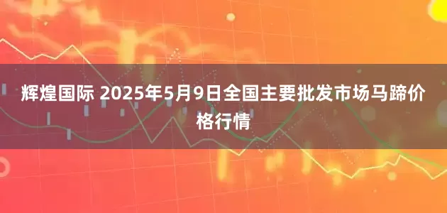 辉煌国际 2025年5月9日全国主要批发市场马蹄价格行情