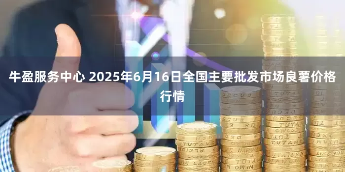 牛盈服务中心 2025年6月16日全国主要批发市场良薯价格行情