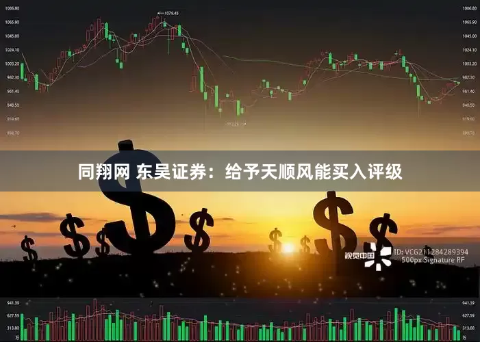 同翔网 东吴证券：给予天顺风能买入评级