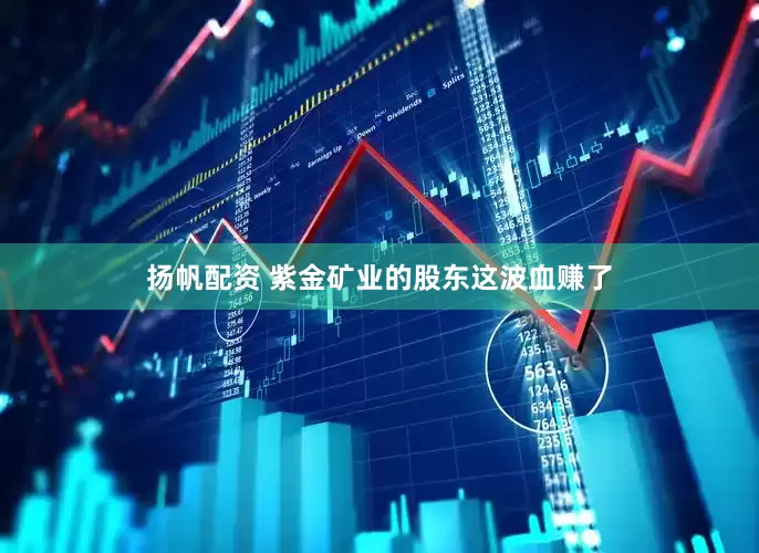 扬帆配资 紫金矿业的股东这波血赚了